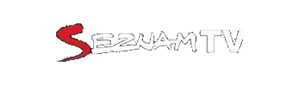 Seznam TV